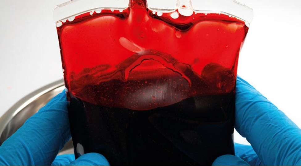 bu-qan-qrupu-dunyada-cemi-43-neferdedir