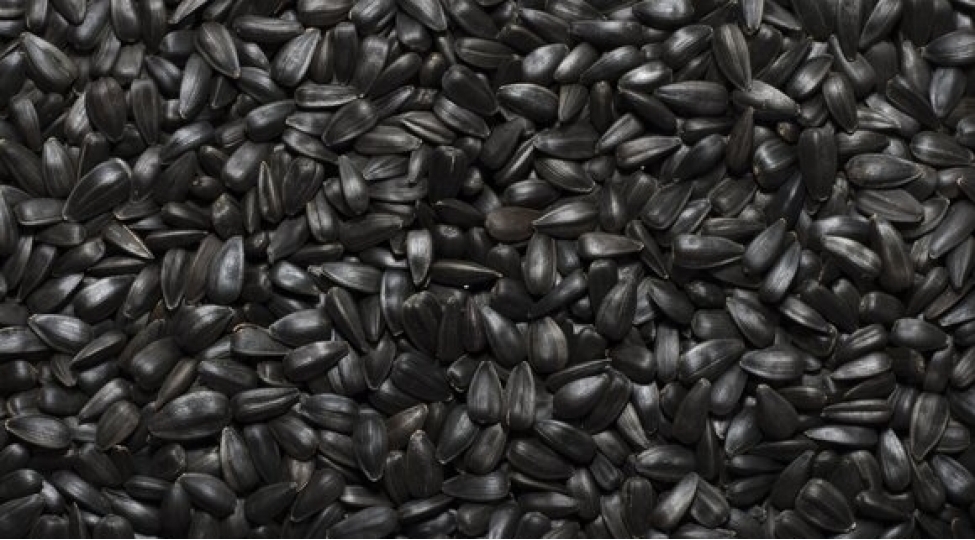 bu-mehsul-da-kanserogen-menbeyi-imish