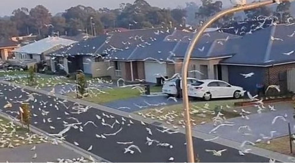 minlerle-tutuqushu-shehere-hucum-etdi-video