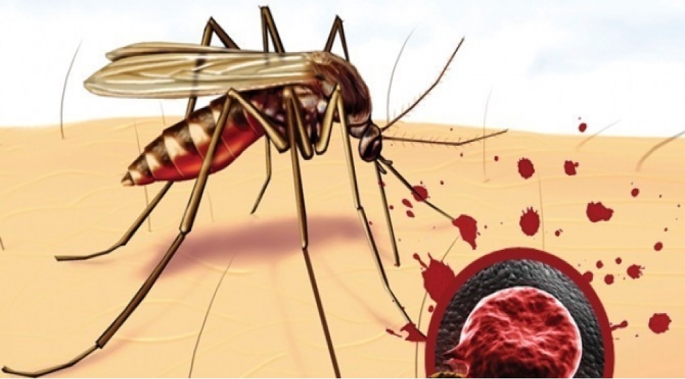 agcaqanadlar-koronavirusu-yaya-bilermi