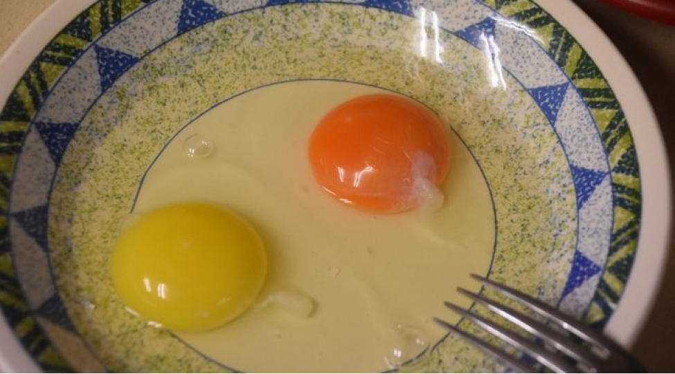 yumurtanin-ichindeki-ag-hissesi-ne-uchun-faydalidir-foto