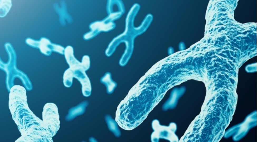 tarixin-muemmali-xestelikleri