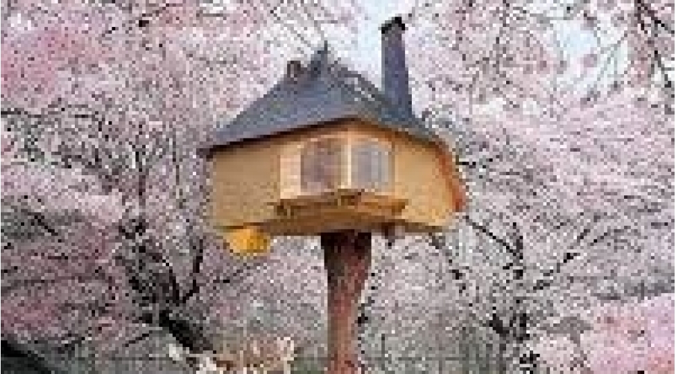 dunyanin-en-qeyri-adi-evleri-foto