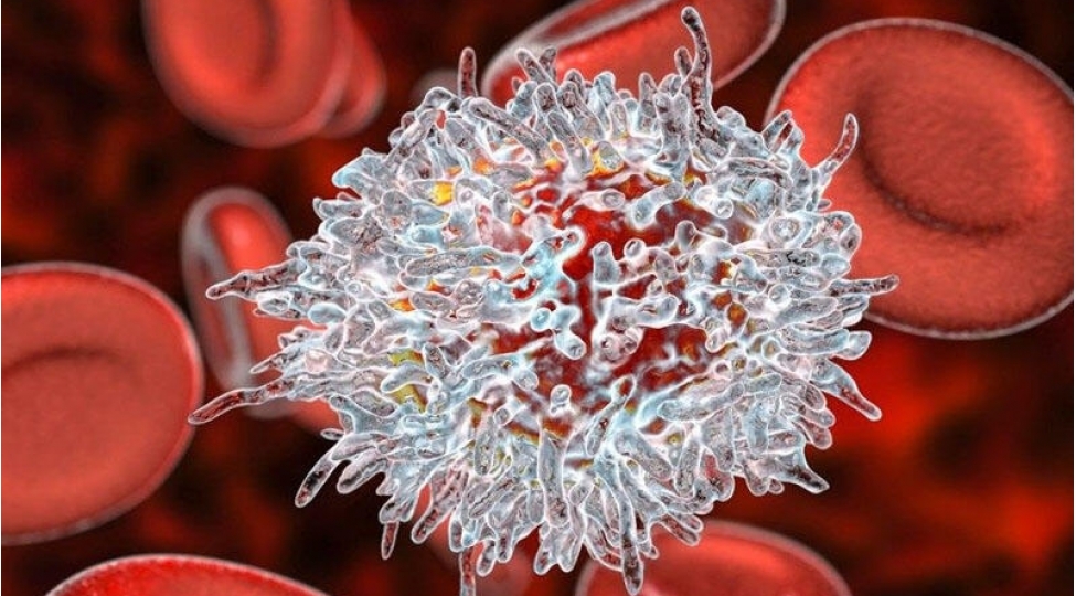 new-york-times-koronavirusa-yoluxanlarda-immunitet-illerle-qala-biler