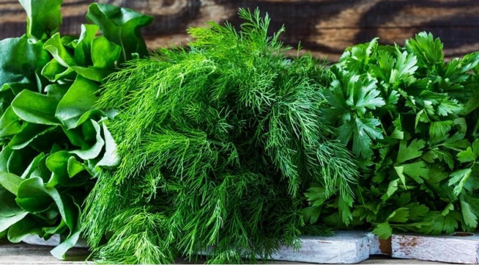 goyerti-ile-qidalanmaq-damar-divarindaki-problemleri-aradan-qaldirir