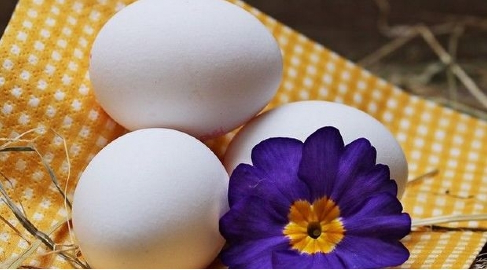 rusiyada-yumurta-chatishmazligi-barede-xeberdarliq