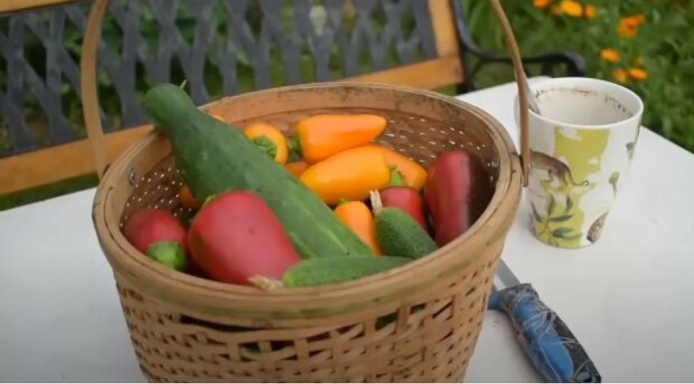 bu-terevez-insultdan-qoruyur