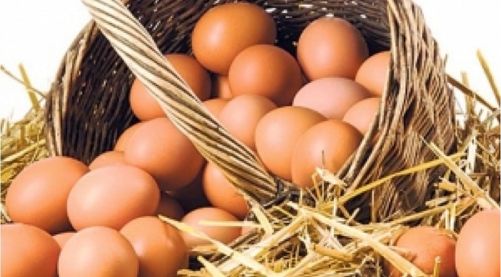 yumurtanin-inanilmaz-faydalari