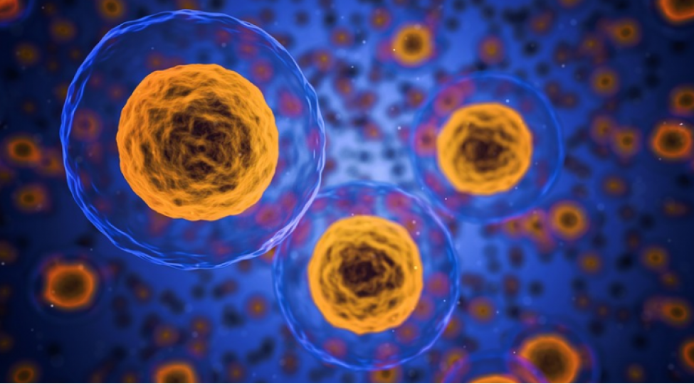 her-sheherin-oz-unikal-mikrob-alemi-var-imish