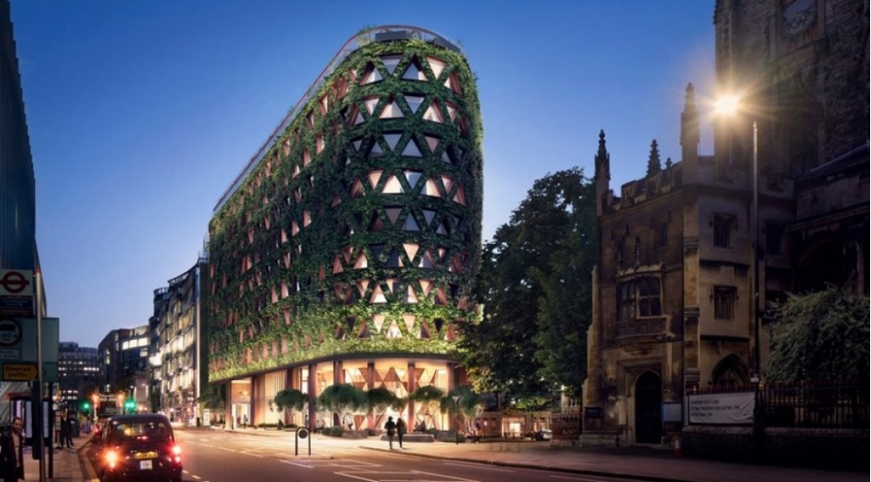 avropanin-en-boyuk-yashil-divari