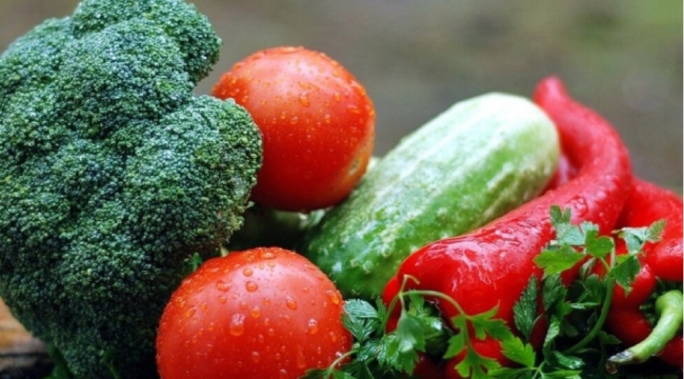 orqanizmimiz-uchun-herterefli-faydali-olan-yegane-terevez