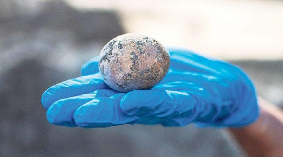 arxeoloqlar-min-illik-yumurta-tapiblar