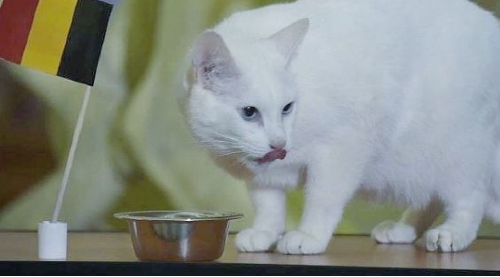 pishiye-azarkesh-pasportu-verilib