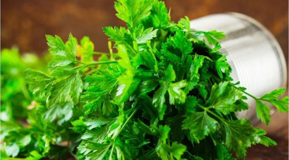 gunde-2-defe-ceferi-chayi-ichin