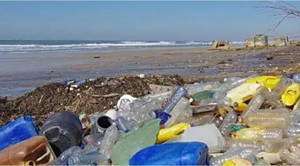 plastik-shushelerden-vanilin-alinir