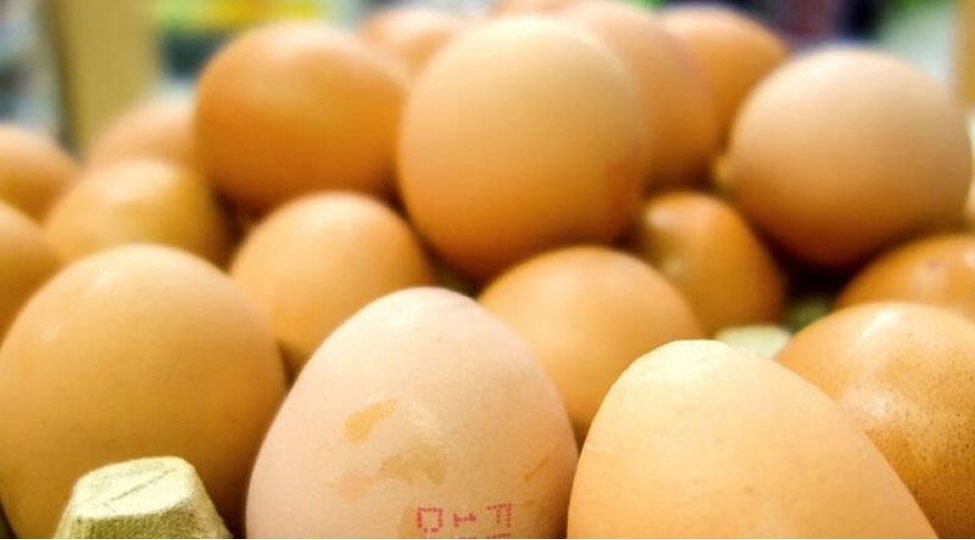 yumurta-qabigi-dish-hekimlerinin-komeyine-chatdi