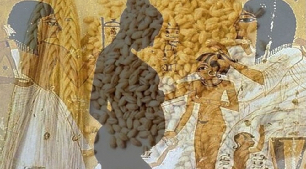 qedim-misirlilerin-alimleri-shoka-salan-deqiq-hamilelik-testi