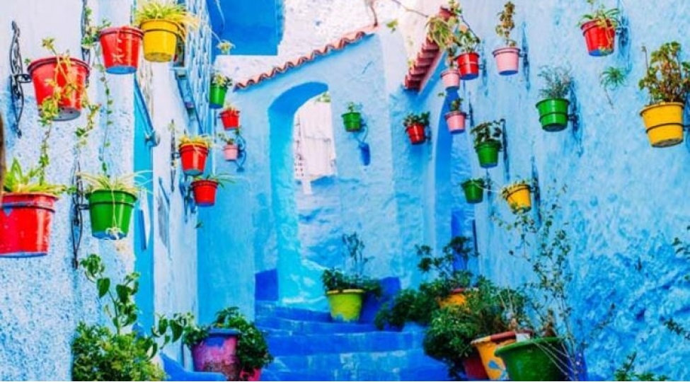 mavi-sheher-shafshavanfoto