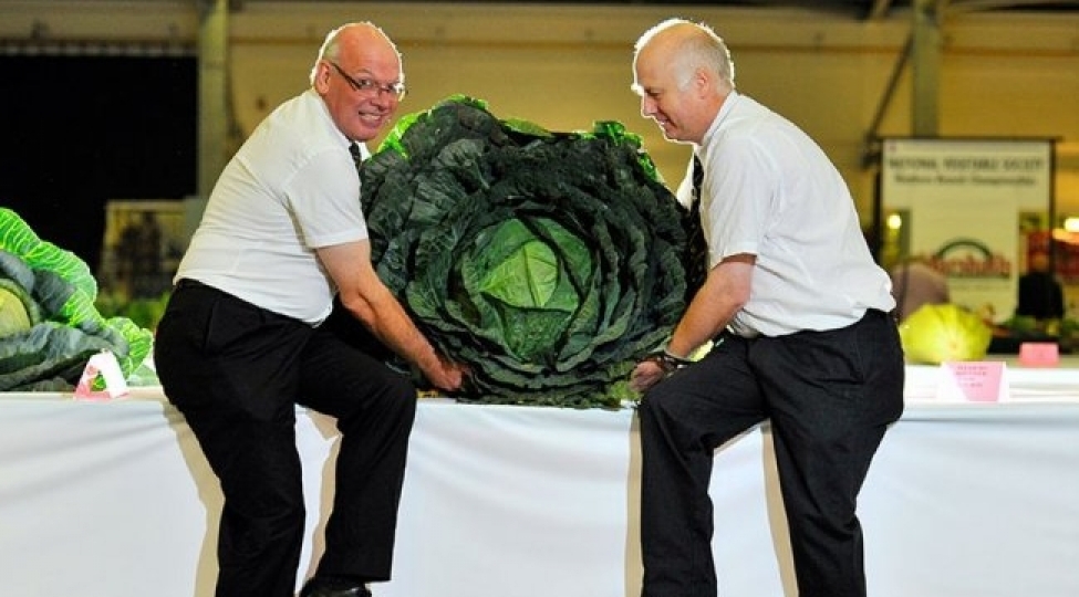 dunyanin-en-boyukleri-foto