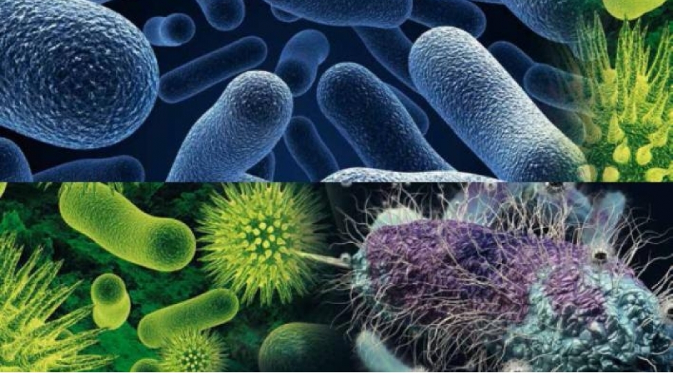 mikroblar-neden-yaranir