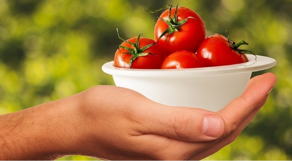 pomidor-xerchengin-qarshisini-alir