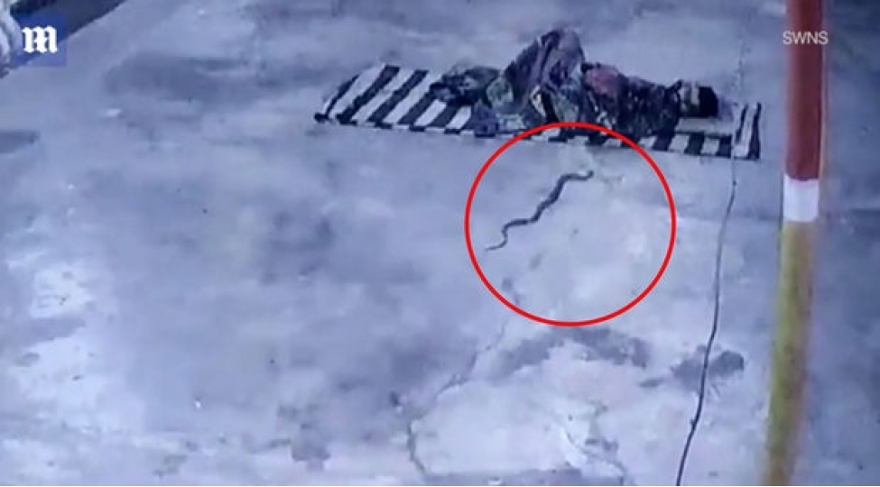 yatagina-ilan-giren-kishinin-qorxu-dolu-anlari