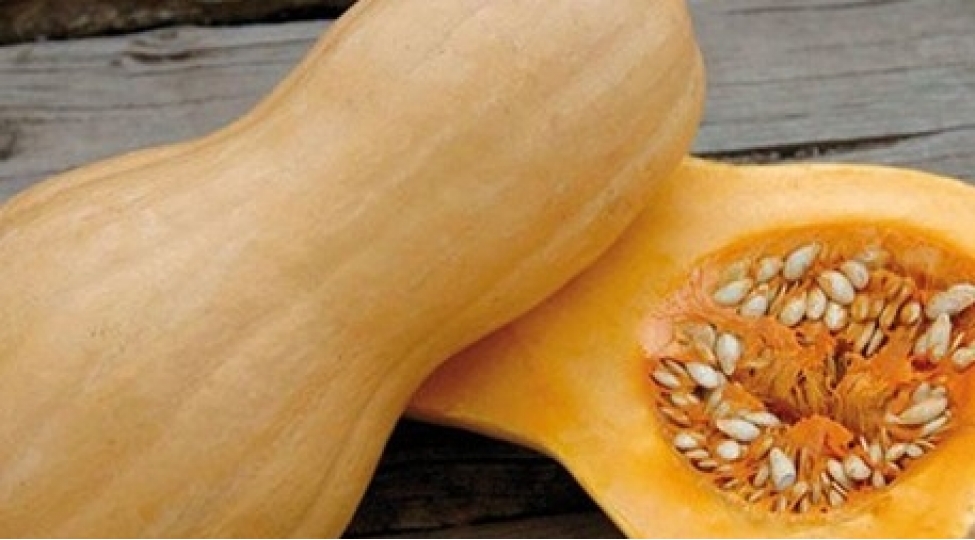 balqabaq-toxumlarimin-bir-derdin-dermanidir