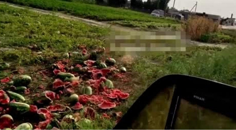 sata-bilmedikleri-tonlarla-qarpizi-mehv-etdi-video