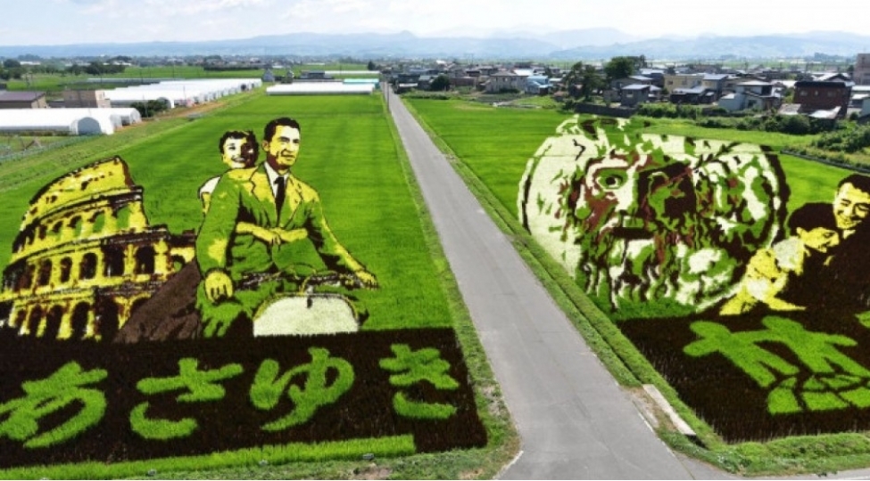 yaponiyanin-bu-kendinde-her-il-duyu-sahelerinde-senet-eserleri-numayish-etdirilir-foto