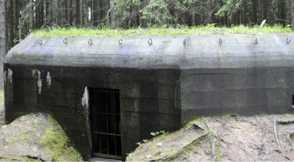 majino-xettinin-maraqli-taleyi