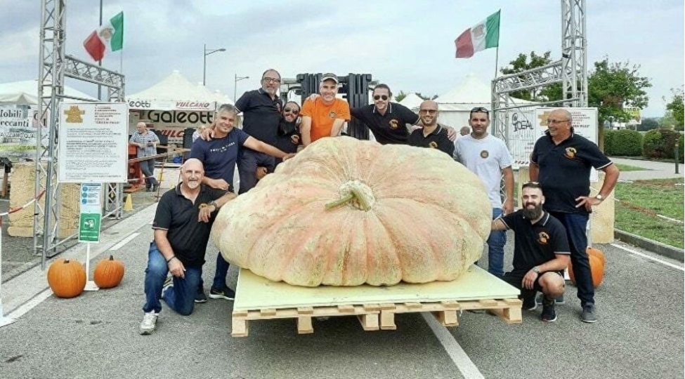 dunyanin-en-boyuk-balqabagi-yetishdirilib