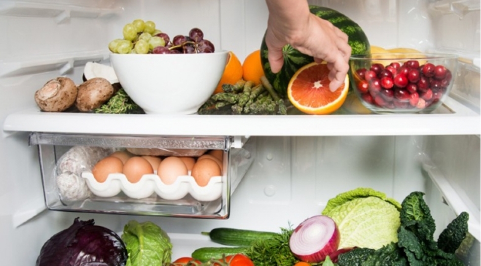 soyuducunu-sevmeyen-qidalar