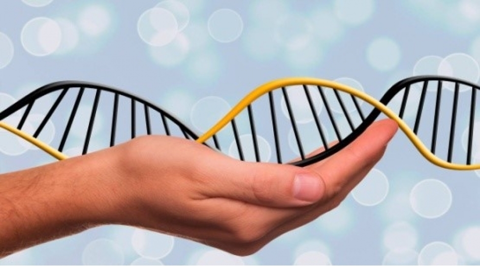 avropa-cenubi-amerika-xalqlari-ve-yaxin-sherq-xalqlari-qohum-imish