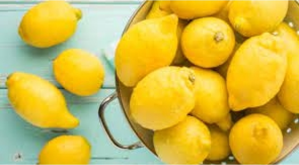 limonun-bitib-tukenmeyen-faydalari