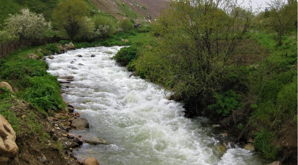 yagintilarla-elaqedar-chaylarda-sululuq-artib