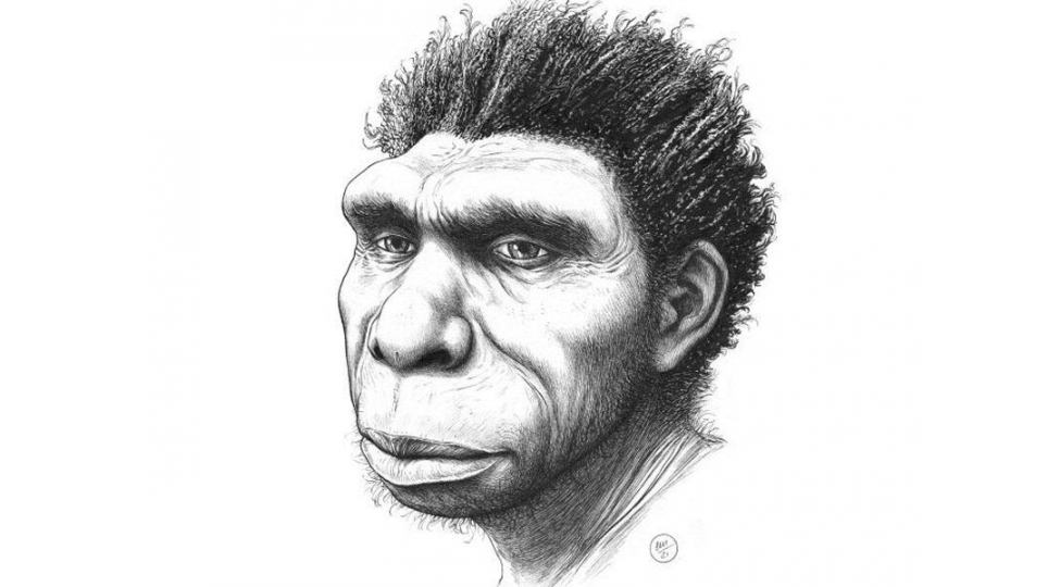 yeni-insan-novu-tapilib