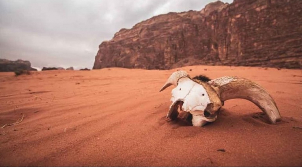 adrenalin-sevenler-uchun-foto