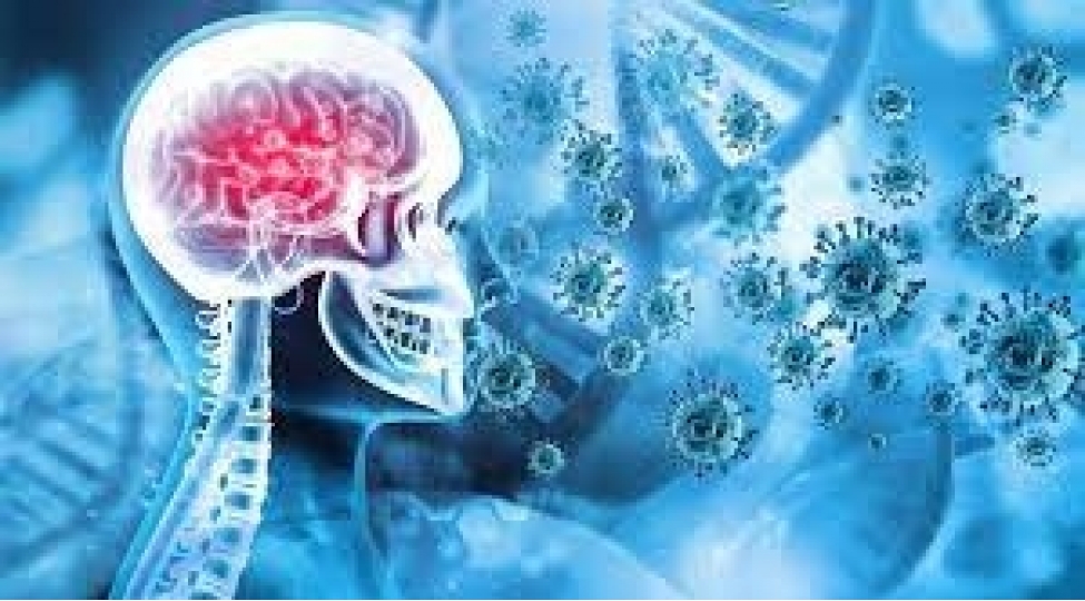 biri-digerinden-daha-qorxulu-covid-19-beyini-mehve-aparir