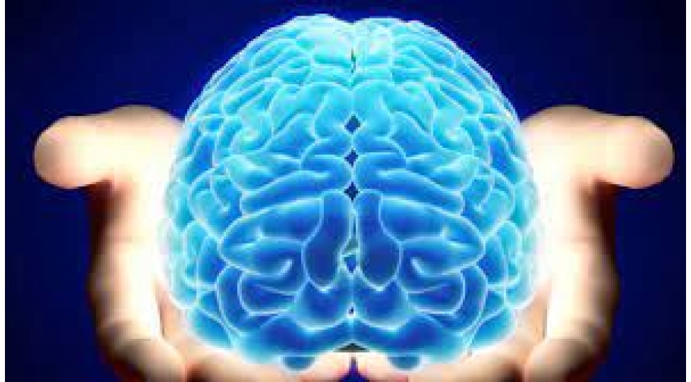 duzgun-rejim-beynin-qidasidir