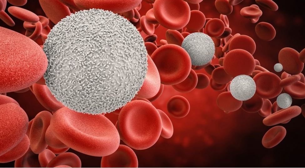 qanin-laxtalanmasina-sebeb-olan-mehsullar