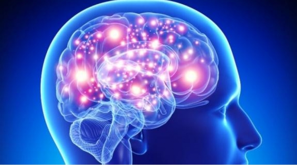 demensiyaya-sebeb-olan-qidalar-hansilardir