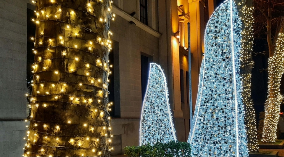 tbilisinin-esas-yolkasi-ishiqlandirilib