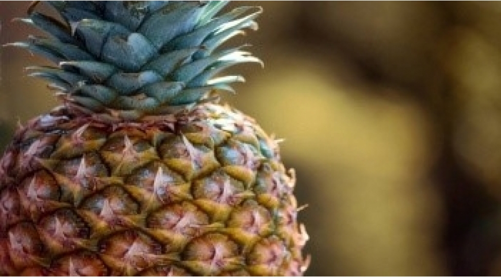 dietoloq-ananasin-tehlukesinden-danishib