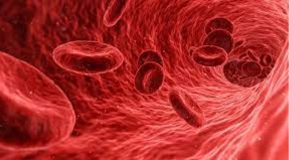 qati-qani-dermansiz-nece-durulashdirmaq-olar