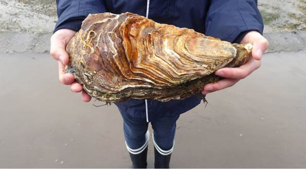 fransada-dunyanin-en-boyuk-stridiyasi-tutulub