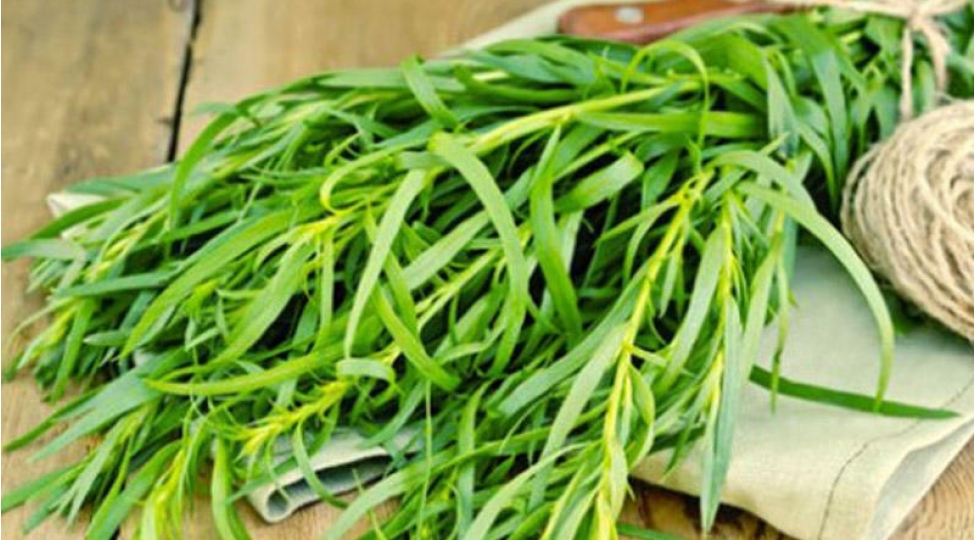 her-gun-terxun-yeyin-7-sebeb