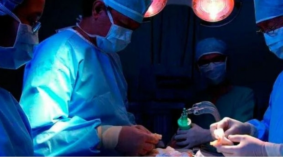 donuz-ureyi-ugurla-insana-kochuruldu-dunyada-ilk