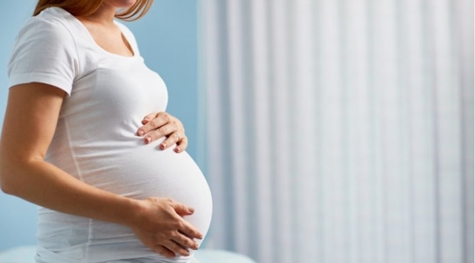 alimler-hamileler-uchun-en-faydali-qidani-mueyyen-edibler