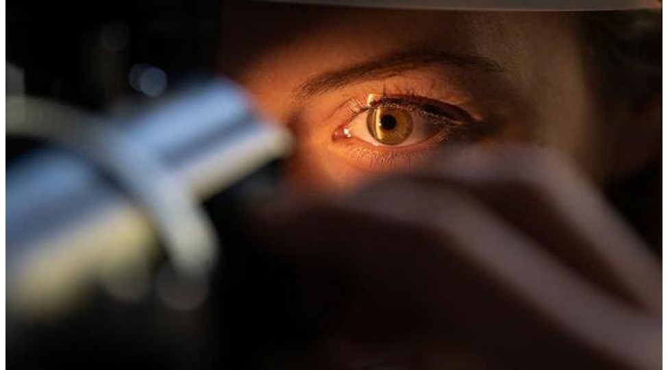 goz-ile-bagli-yeni-elamet