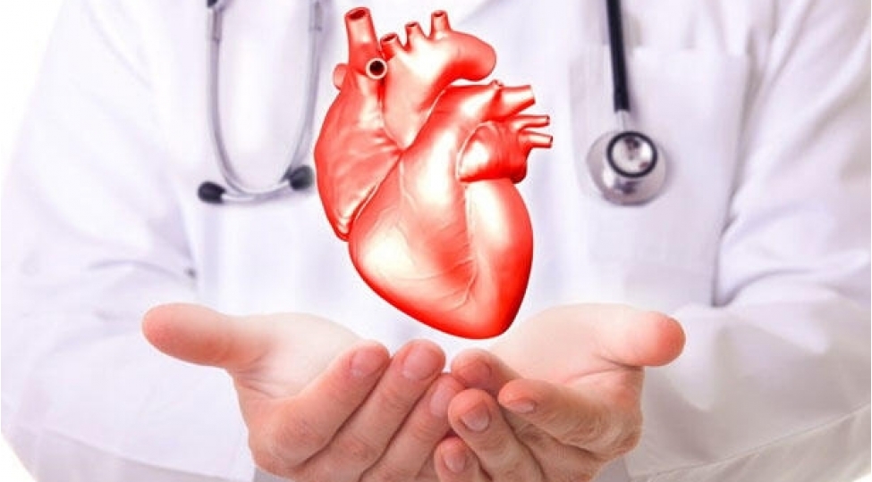 urek-xesteleri-tez-tez-ve-az-az-yemelidir